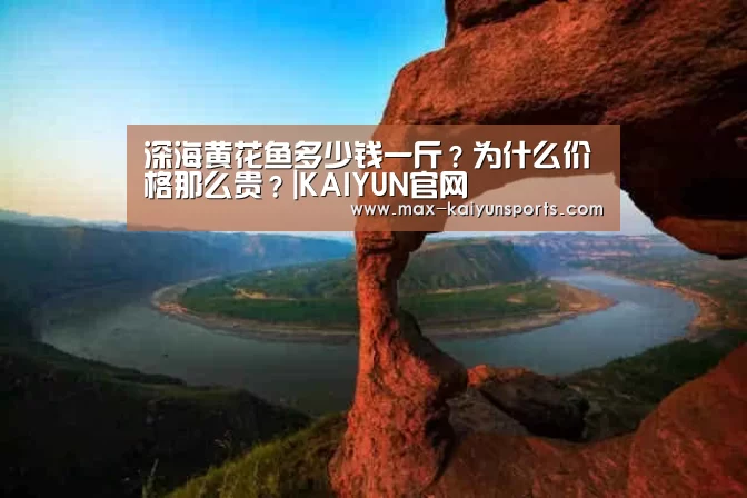 深海黄花鱼多少钱一斤?为什么价格那么贵?|KAIYUN官网(图2) KAIYUN官网