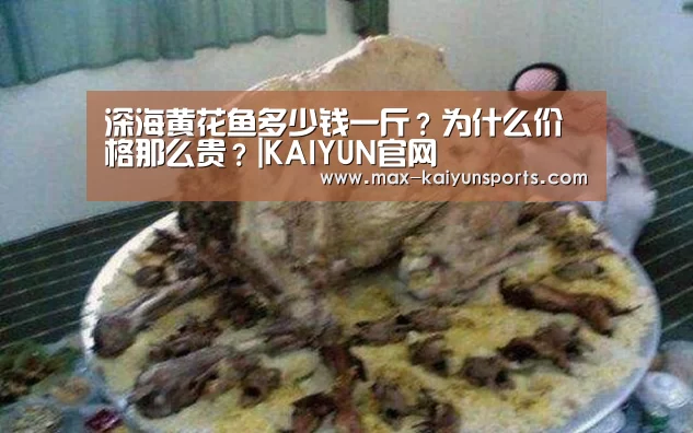 深海黄花鱼多少钱一斤?为什么价格那么贵?|KAIYUN官网(图1) KAIYUN官网