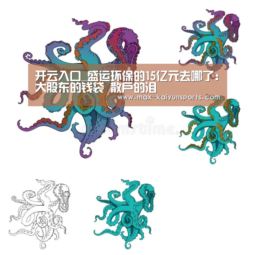 开云入口_盛运环保的15亿元去哪了:大股东的钱袋 散户的泪(图1) 开云体育