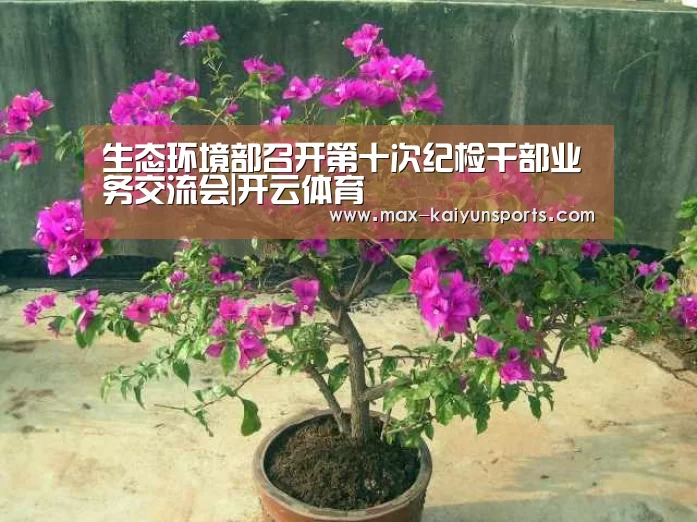 生态环境部召开第十次纪检干部业务交流会|开云体育(图2) 开云体育