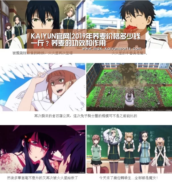 KAIYUN官网|2019年荞麦价格多少钱一斤?荞麦的功效和作用(图1) 开云入口