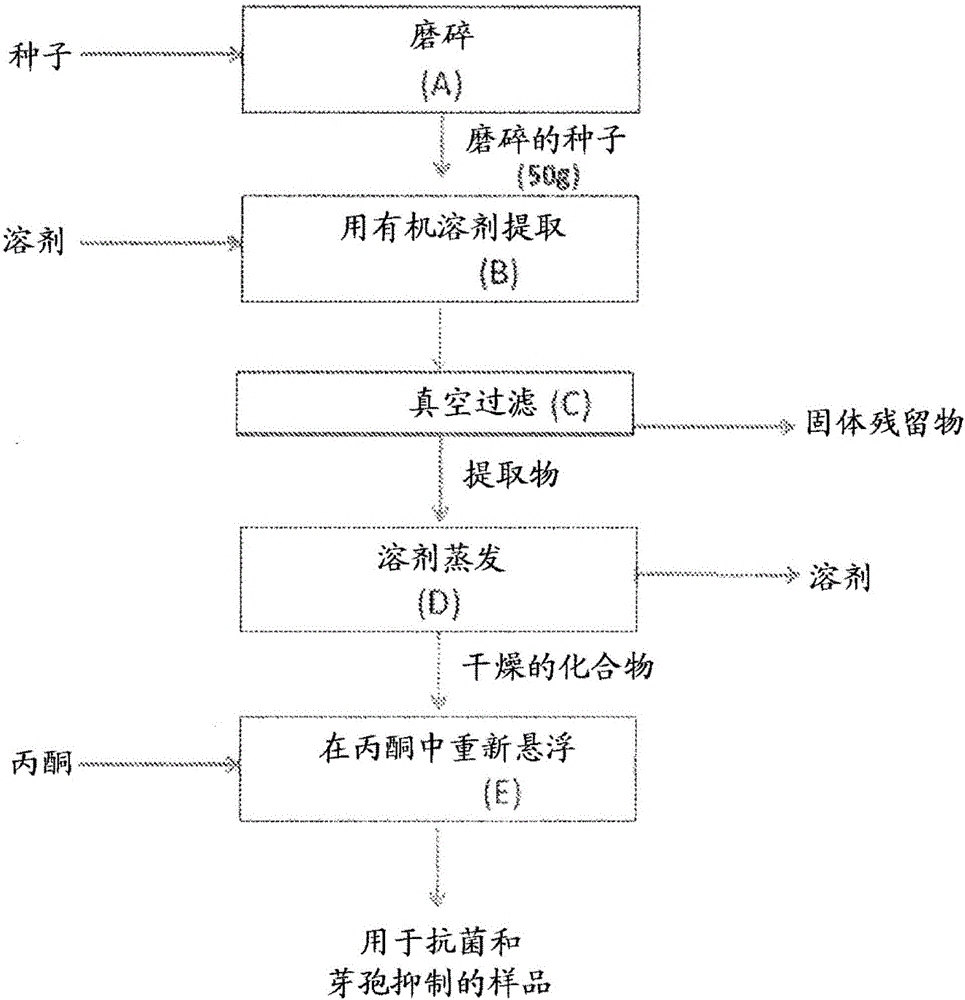 开云体育移动端_梦工厂动画《极速蜗牛》登陆百视通独家首播(图1) 开云体育移动端