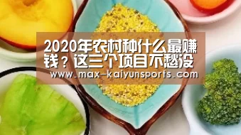 开云体育移动端