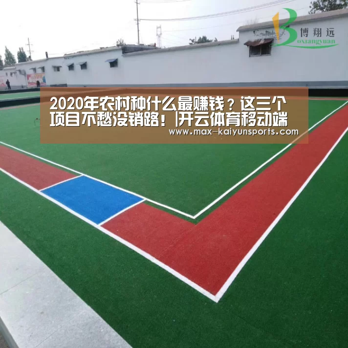 开云体育移动端